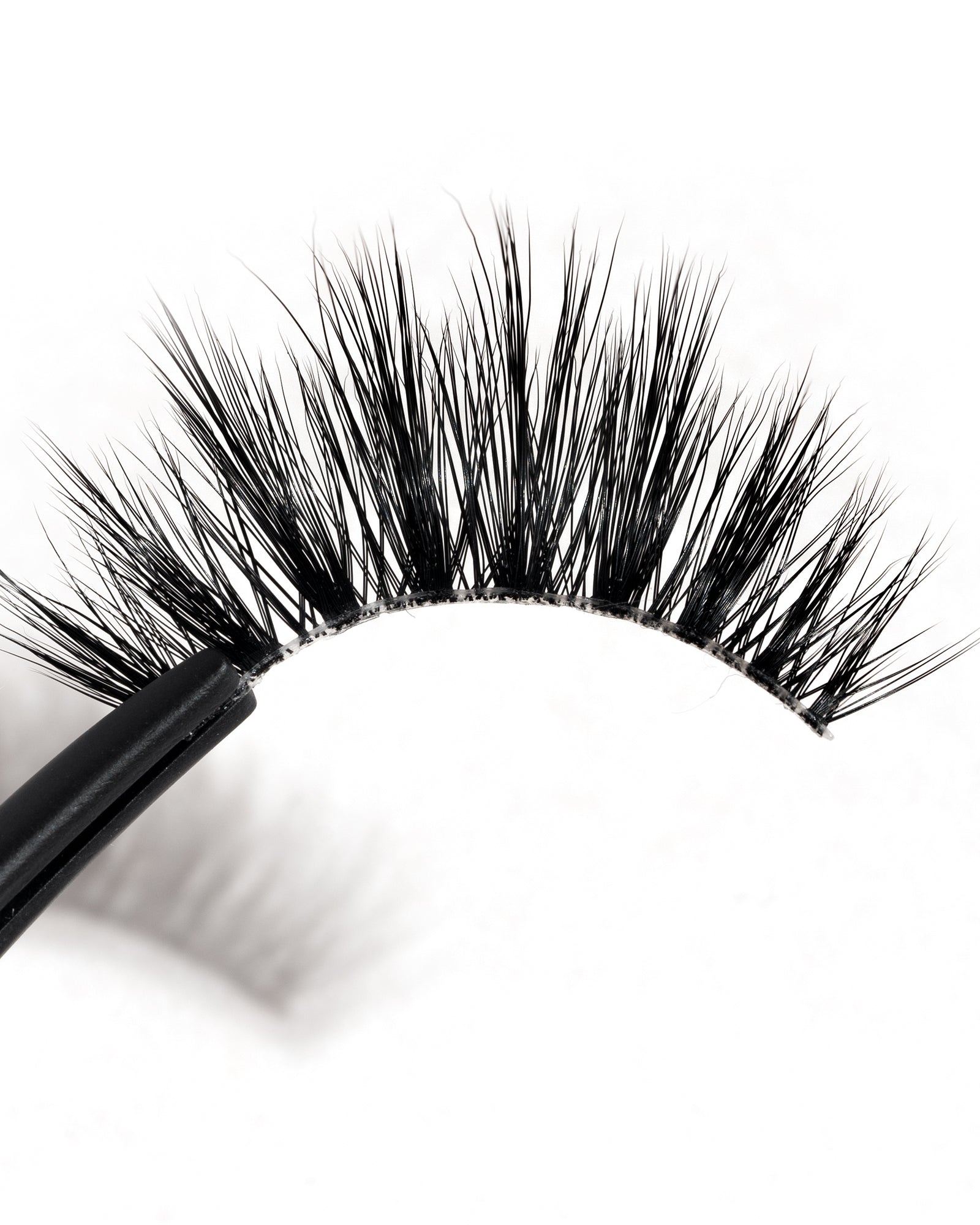 Sun Raised False Eyelash - Rokael Beauty