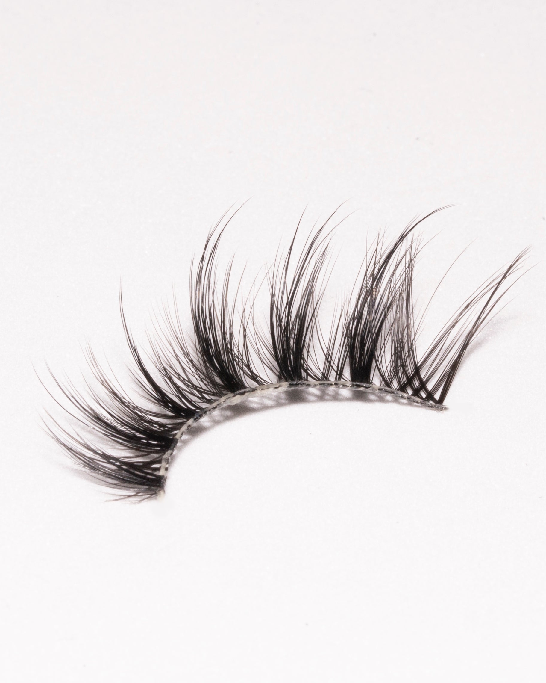 Auroras Strip Lashes