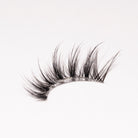 Auroras Strip Lashes