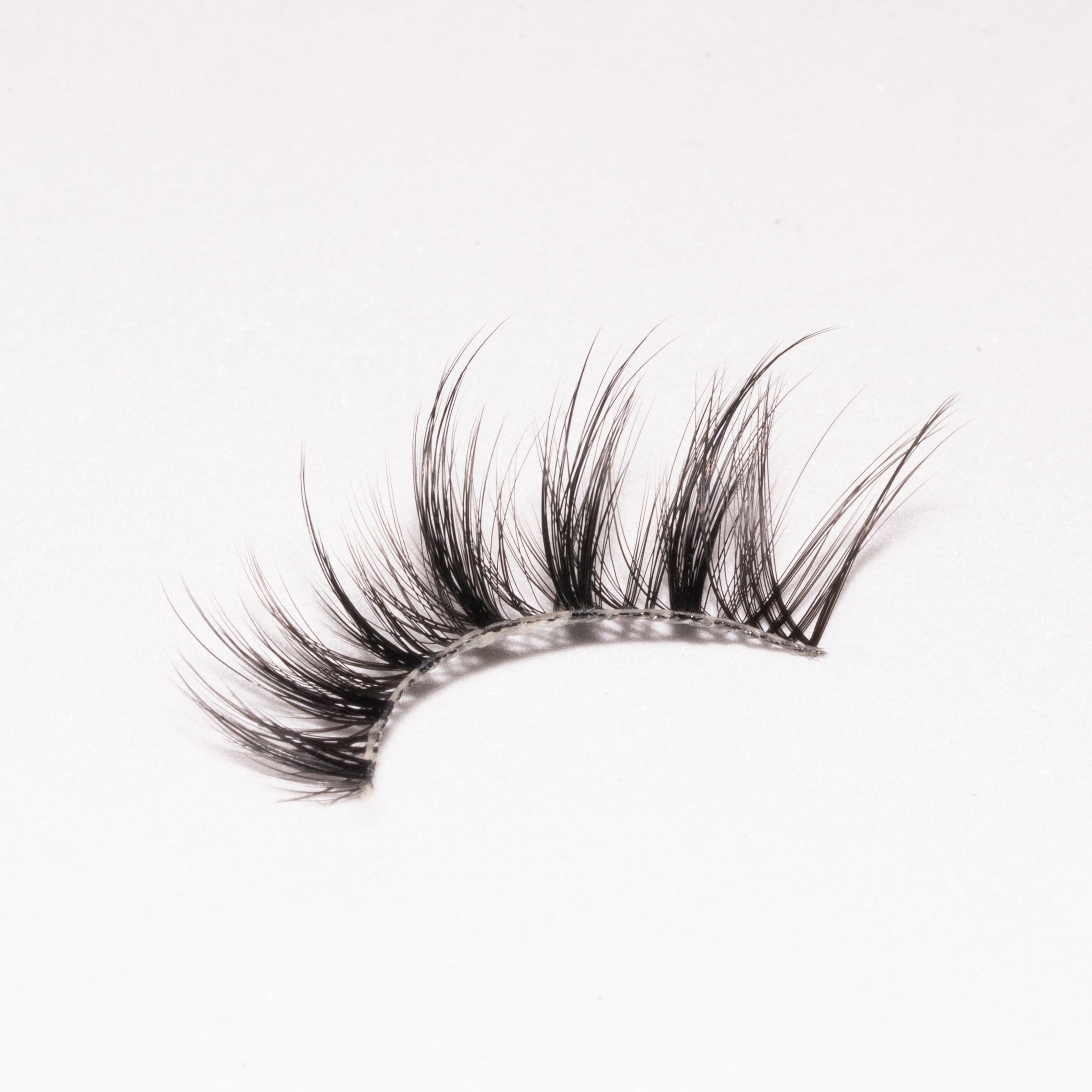 Auroras Strip Lashes