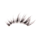 Auroras Strip Lashes
