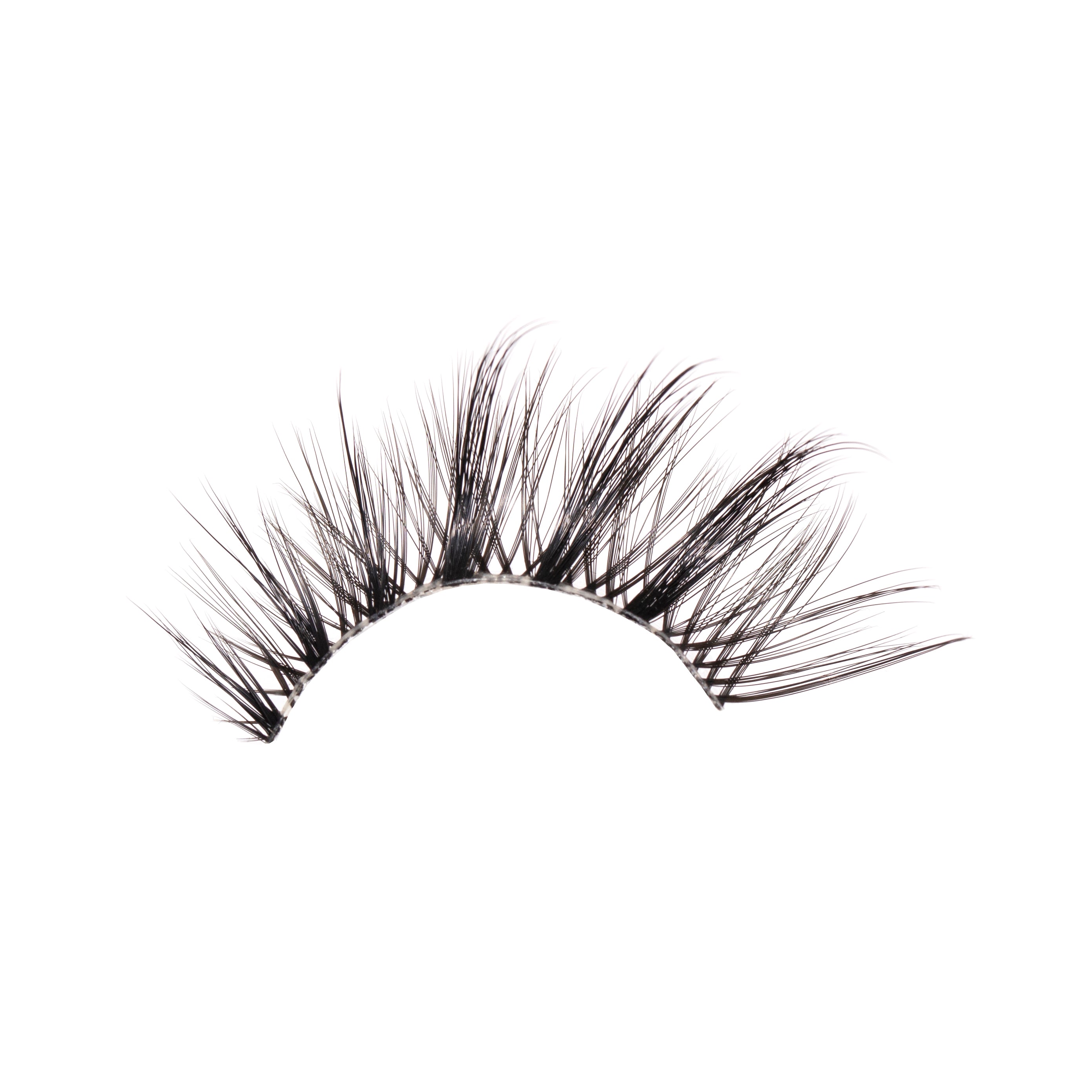 Auroras Strip Lashes