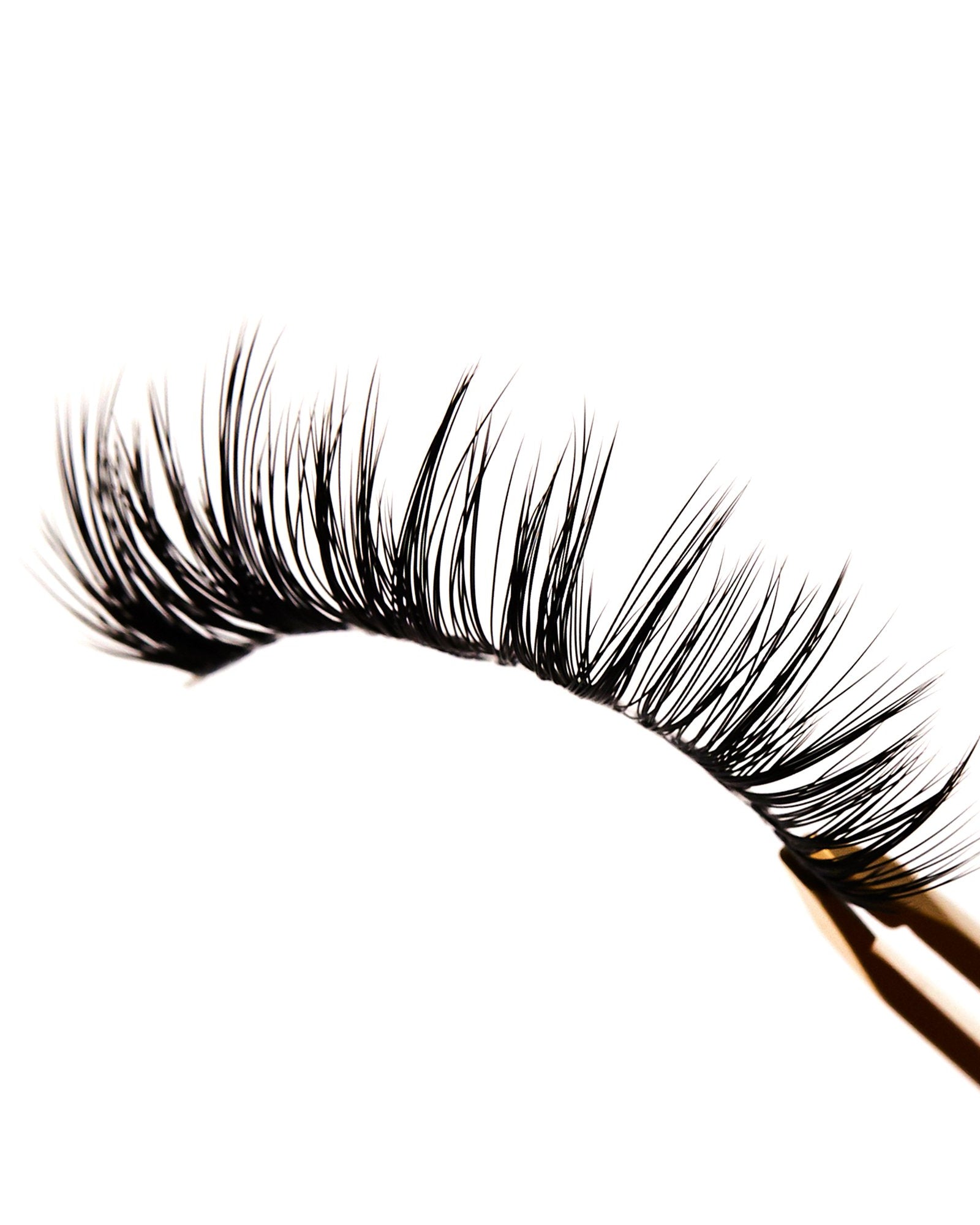 Solar Flares - Rokael Beauty