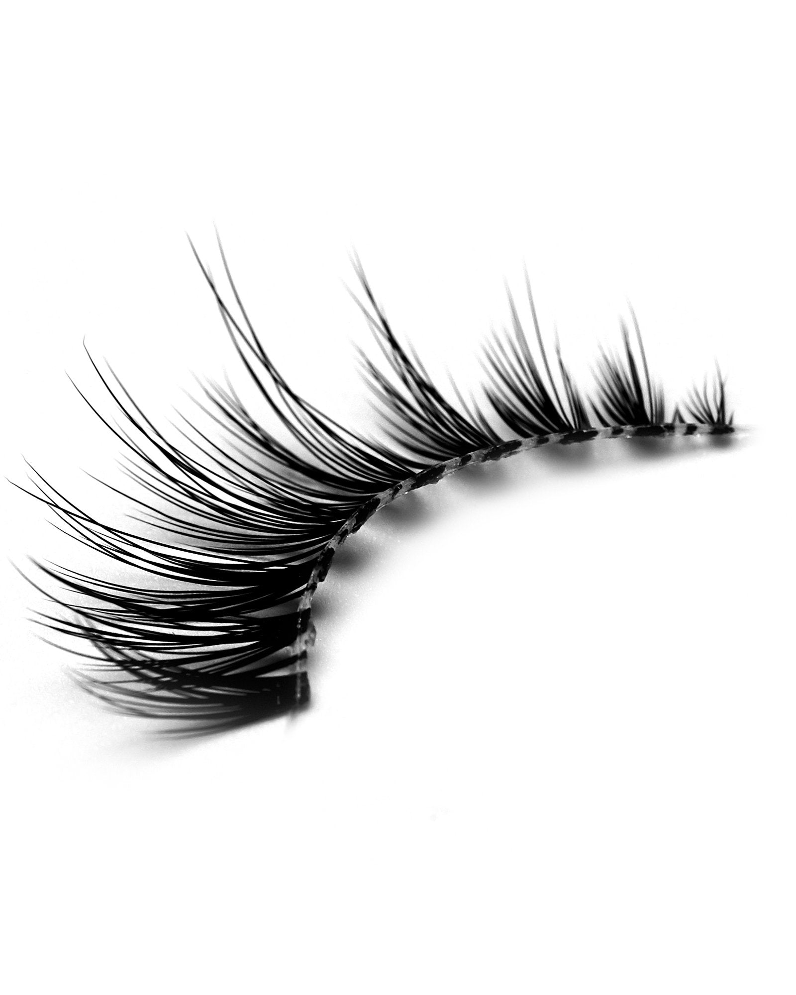 Moon Beams - Rokael Beauty