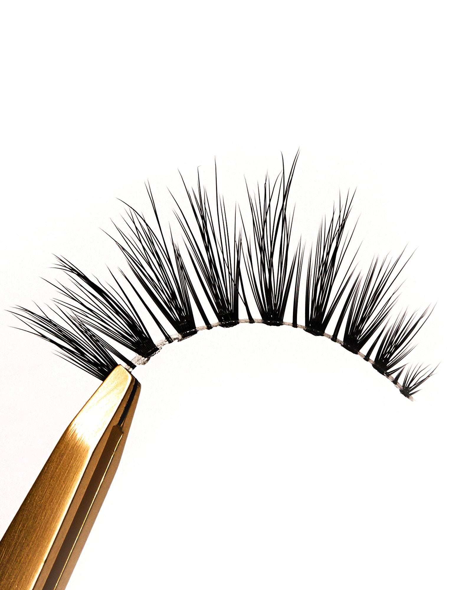 Moon Beams - Rokael Beauty