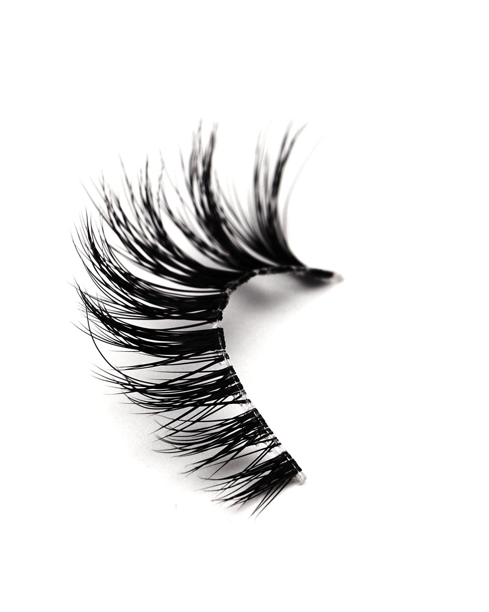 Full Moon Eyelashes - Rokael Beauty