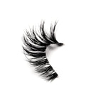 Full Moon Eyelashes - Rokael Beauty