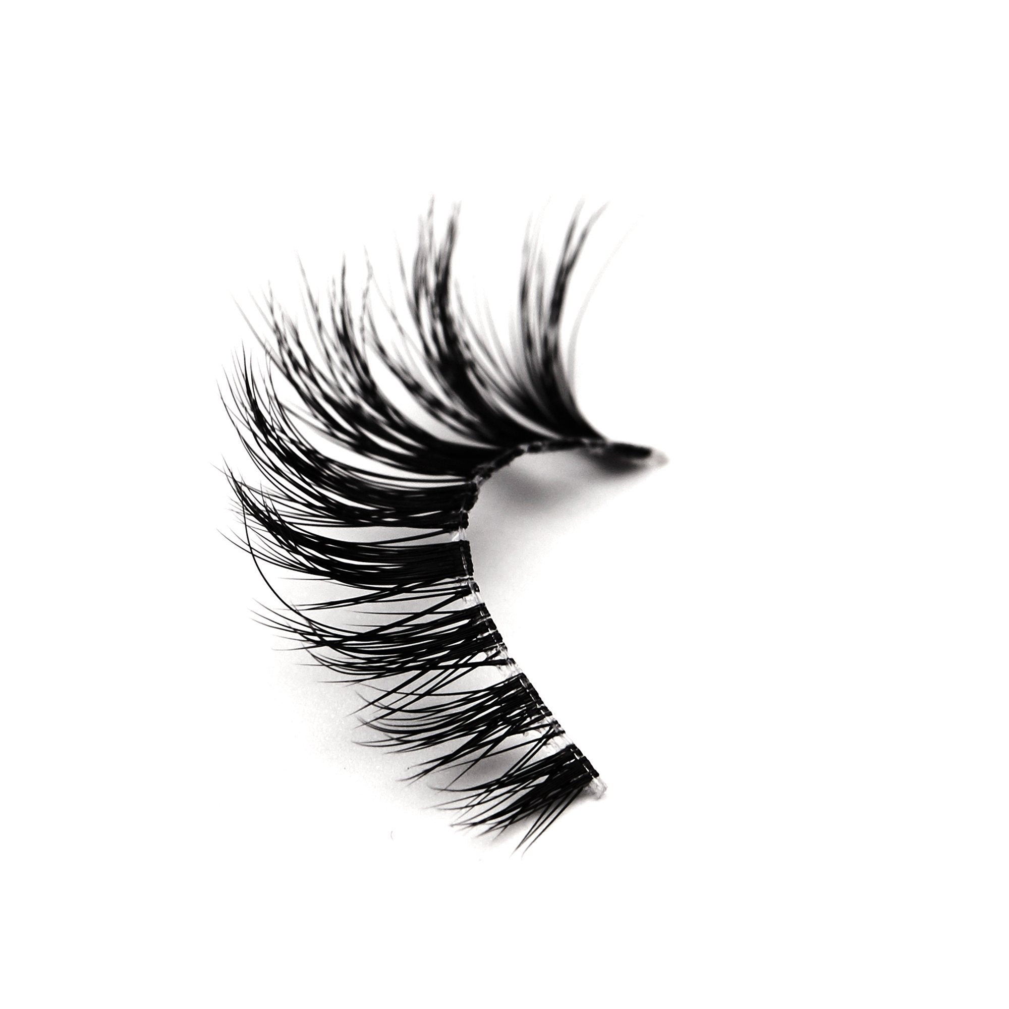 Full Moon Eyelashes - Rokael Beauty