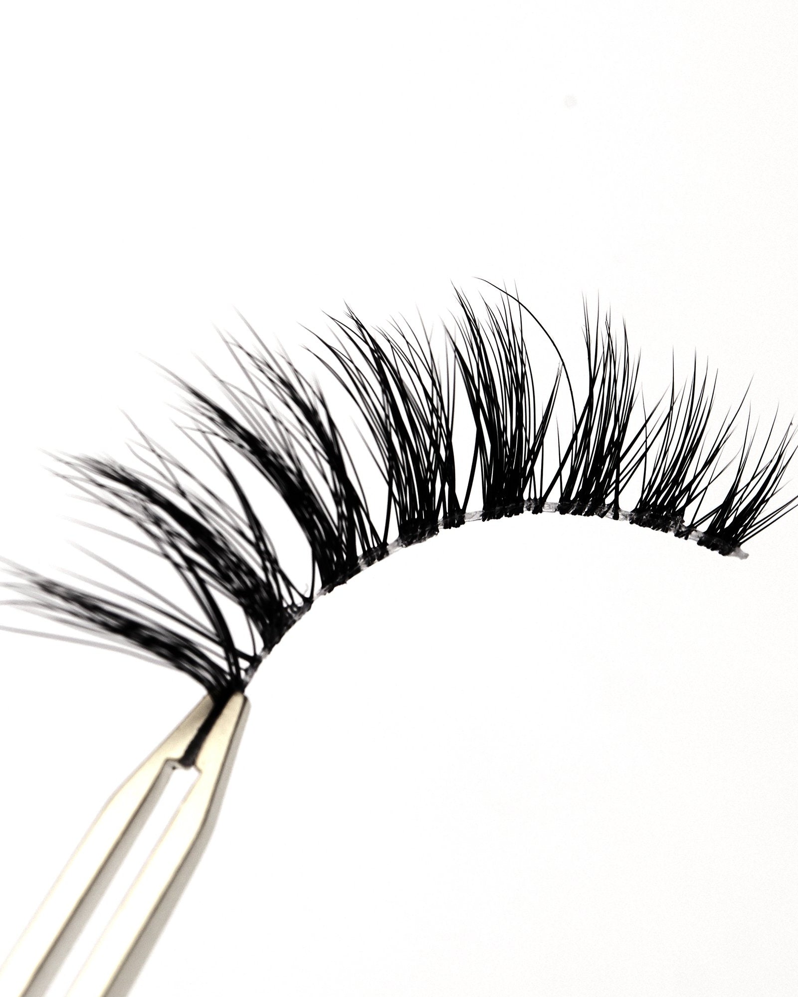 Full Moon Eyelashes - Rokael Beauty