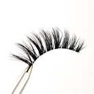 Full Moon Eyelashes - Rokael Beauty