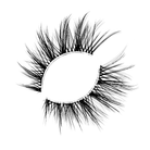 Auroras Strip Lashes - Rokael Beauty
